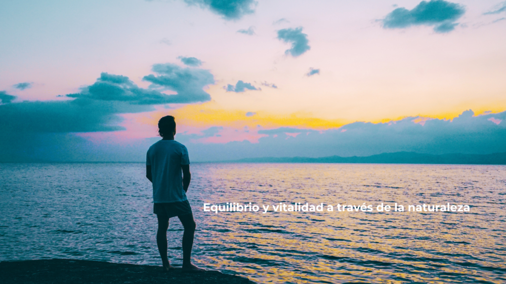 Estrés moderno y diseño biológico: por qué tu cuerpo no entiende el ritmo actual imagen 5to art. blog