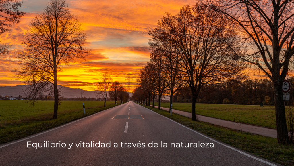 Vida Natural 360: Fundamentos de un Modelo Integral de Bienestar Aplicación del Modelo Vida Natural 360 para el bienestar integral mediante hábitos saludables y conexión con la naturaleza