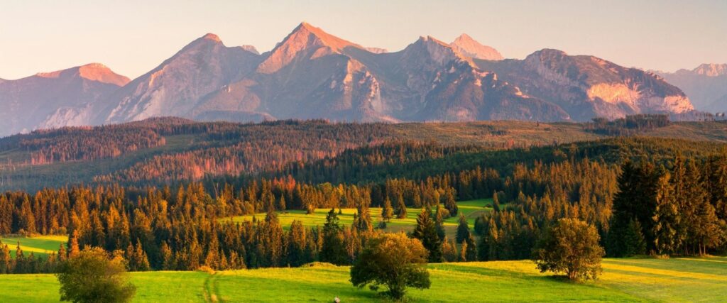 home vida natural limpio