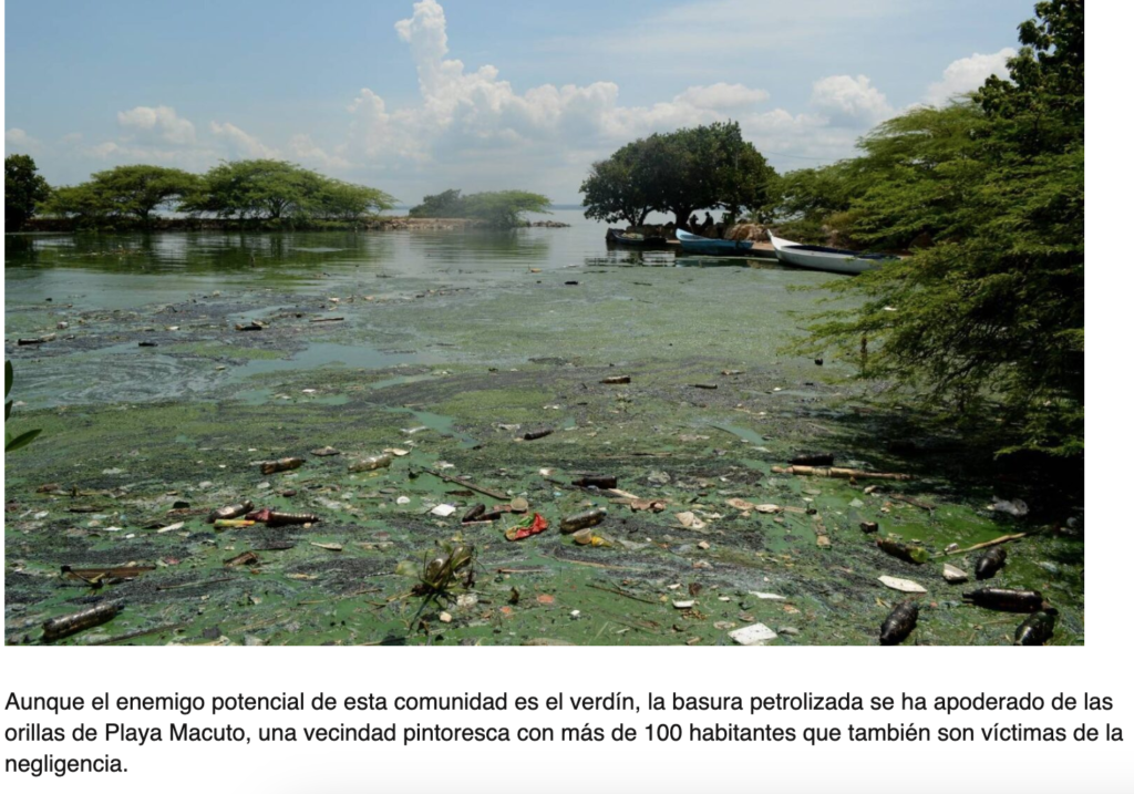 El agua no miente Contaminación en Playa Macuto Venezuela basura petrolizada en el agua
